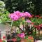 Studio Cres 7984a