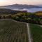 Tenuta Delle Ripalte Tenuta Delle Ripalte