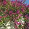 Apartment Postira 740b