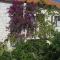 Apartment Postira 740b