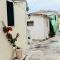 Hellenes house