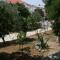 Apartments with a parking space Mandre, Pag - 6415