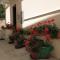Apartment Susak 8047a