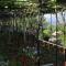 Double Room Medveja 7775d Double Room Medveja 7775d