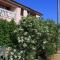 Studio Punta kriza 383a