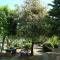 Apartment Pasman 14788c