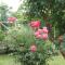 Apartment Pasman 14788c