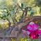 Villa Rocce Rosse
