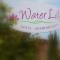Waterlily Hotel Apartments Foto: Waterlily Hotel Apartments