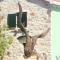 Family friendly house with a swimming pool Zavalatica, Korcula - 9476