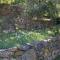 Apartment Vis 2441a
