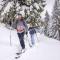 Pension Wald