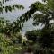 Apartment Crikvenica 2354f Apartment Crikvenica 2354f