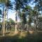 Luxury Retreat with Spa - By Traum Ferienwohnungen