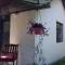 Cirali Friends Pension&Camping