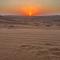 Desert Stars Camp
