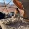 WADI RUM JULIA lUXURY CAMP