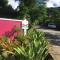 Anthurium Apartment