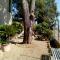 B&B Il Vigneto