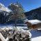 Schneehaus Chalet