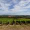 Fattoria Poggio Capponi - Montespertoli