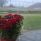 Villa Nikol Apt #2