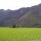 Thongdam Guesthouse