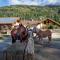 Agritur Bontempelli
