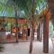 The Palm Ray Rasdhoo