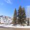 Perfect Inside Downtown Aspen Location! Romantic 1300 ft, 4 Blocks or 396 m, to AJAX or Aspen Mountain