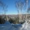 La Romane Stylish forest chalet w spa