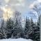 La Romane Stylish forest chalet w spa