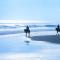 Stunning Oceanview Coastal Home Beach Trails Family Activities