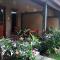Molleh Guest House