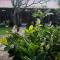 Molleh Guest House