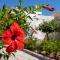 Amalthea House 1