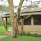 Lake Elmenteita Serena Camp