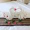 Chatin Guesthouse - Khao Lak