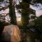 Flying Fox Backpackers