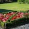 School House Cottage B&B and tea garden