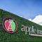 Apple Inn - Campo 9