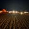 Desert Stars Camp