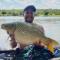 AfriCamps Hoedspruit