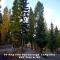 Timber Wolf Resort & Jeep Rentals