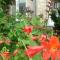 B&B De Watering
