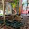 Tribal Huts Community