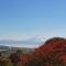 Wakamiro