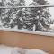 Apartman Bor