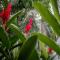 Samara Chillout Lodge - Adults only