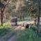 Crocodile Safari Camp